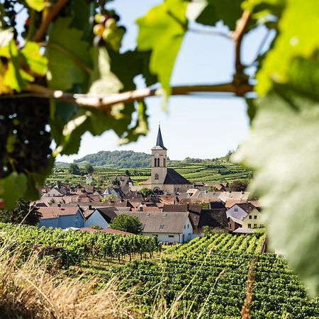 Braviscasa - Ferienresidenz Haus Am Bach Vogtsburg Am Kaiserstuhl Dış mekan fotoğraf