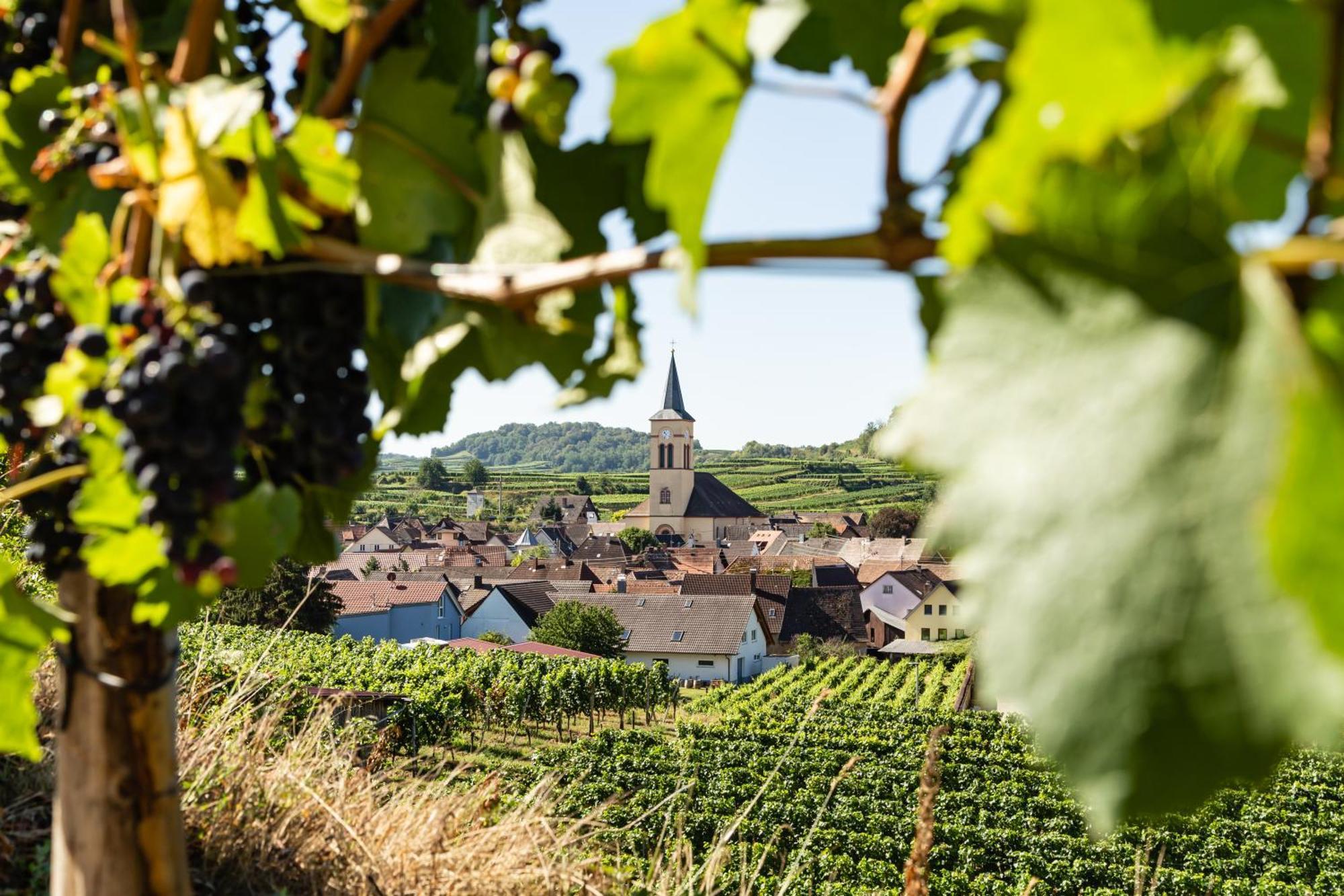 Braviscasa - Ferienresidenz Haus Am Bach Vogtsburg Am Kaiserstuhl Dış mekan fotoğraf